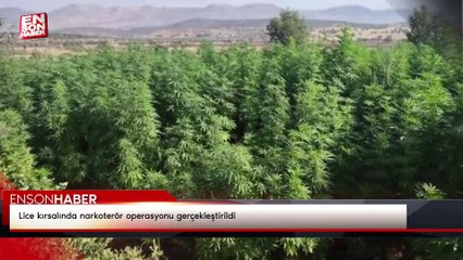 Lice kırsalında narkoterör operasyonu gerçekleştirildi