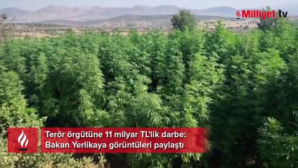 Terör örgütüne 11 milyar TL'lik darbe! Bakan Yerlikaya görüntüleri paylaştı