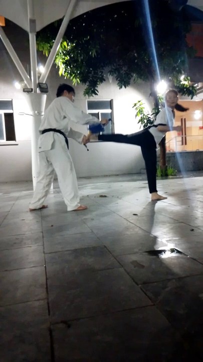 Taekwondo 20230731_194053