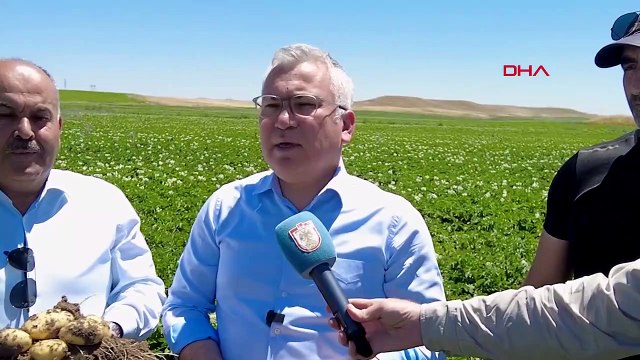 Sivas'ta Patates Üretiminde Rekor Beklentisi
