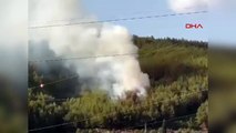 Muğla'da Menteşe ilçesinde orman yangını çıktı
