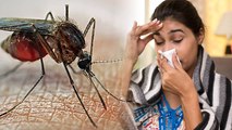 डेंगू होने पर क्या करें | Dengue Hone Par Kya Kare | डेंगू ठीक करने के घरेलु उपाय | Boldsky