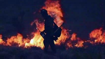 Wildfire in the Mojave National Preserve, California