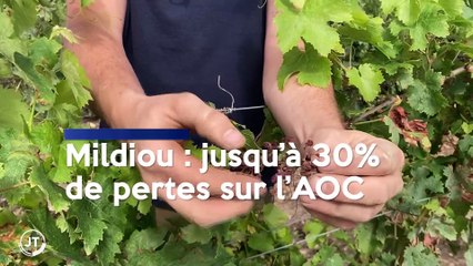 Le Journal - 31/07/2023 - BLOIS / Dernier jour au foyer Mosnier pour les réfugiés Ukrainiens