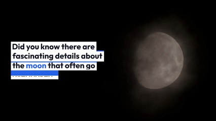 Brittney griner Fundamentals Explained