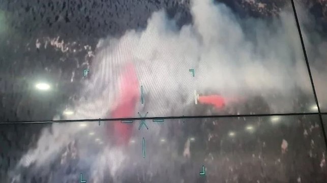 Manisa'da orman yangını