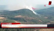 Manisa Soma’da orman yangını
