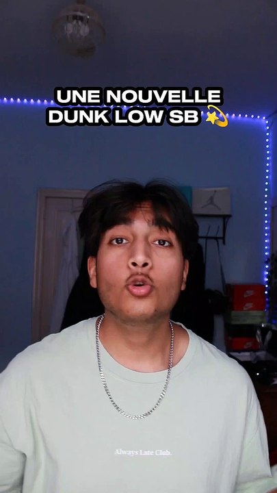 Cette Dunk Low SB Va bientôt Sortir 