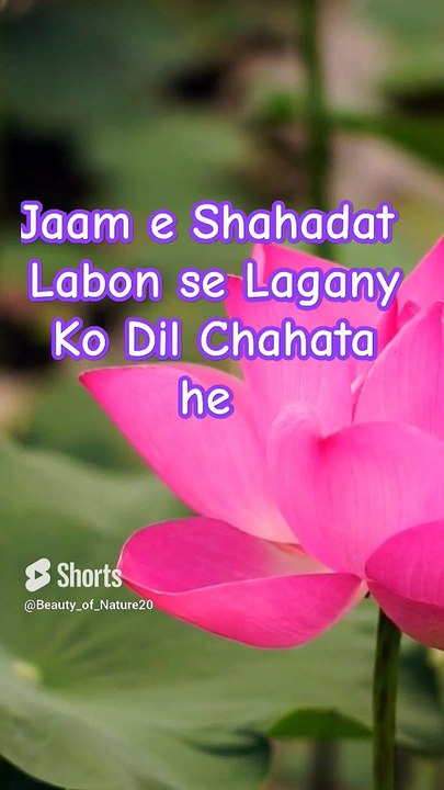 #Beautiful Naat#Beautiful Nature#Beautiful World#Shorts#Shorts with lyrics#Youtube# (2)