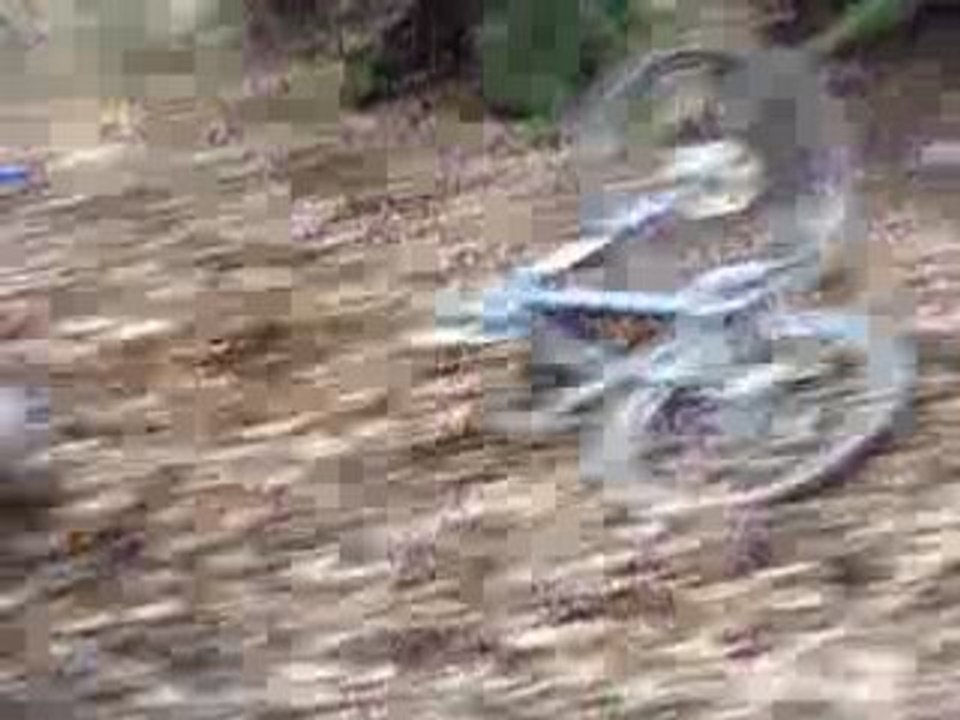 DH Spy 04