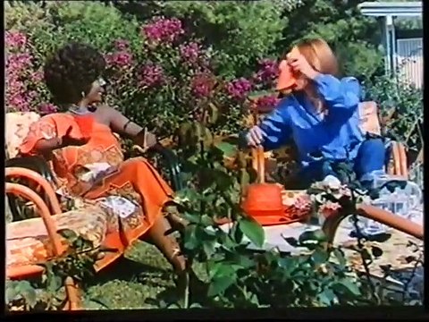 ΥΠΟΨΗΦΙΟΙ ΒΟΥΛΕΥΤΕΣ ΚΑΙ ΒΟΥΛΕΥΤΙΝΕΣ VHSRIP (1980)