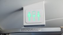 U.S. Finalizes Rule to Make Single-aisle Airplane Bathrooms Wheelchair Accessible