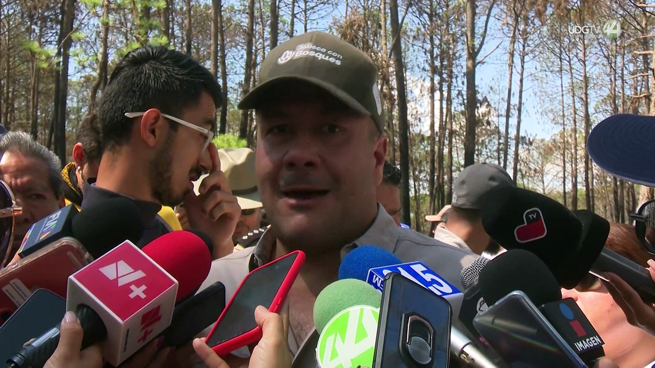 Decidir ir en Alianza ó ir en solitario, se debe resolver ya: Alfaro Ramírez