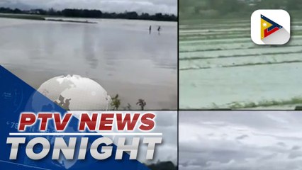 Download Video: Farmlands, crops in Luzon submerged in floods, damaged by Typhoon #EgayPH