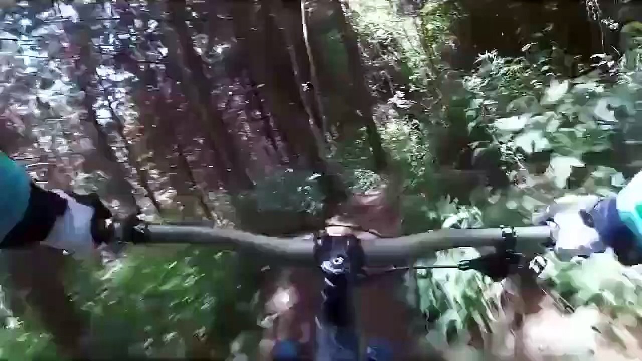 Alors que le couple faisait l'amour sur la piste cyclable dans les bois, un cycliste qui arrivait presque à toute allure les a percutés.