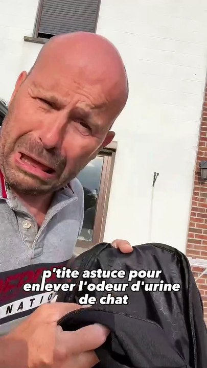 Astuce contre l’odeur d urine de chat