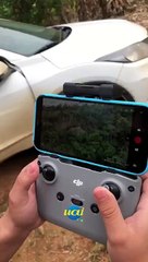 Onça é avistada em Ubaporanga