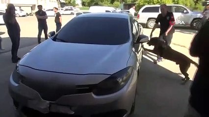 C'est ainsi que les suspects ont été surpris en train de suivre la police en TEM avec 119 kilos de drogue