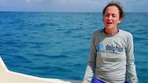 A Biologist on an Underwater Scooter Delights Young Dolphins  Animals at Play   Smithsonian Channel