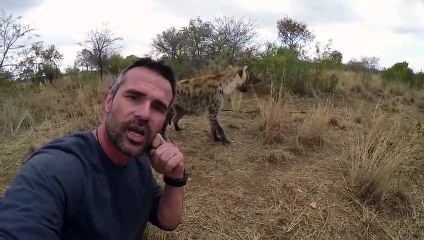 Bone Crushing Jaws   The Lion Whisperer