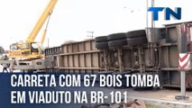 Carreta com 67 bois tomba em viaduto na BR-101