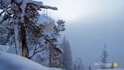 Freezing Cold Air Creates ‘Diamond Dust’ ❄️ Epic Yellowstone   Smithsonian Channel