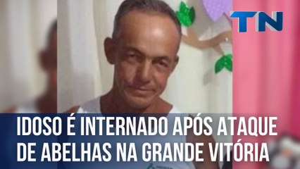 Idoso é internado após ataque de abelhas na Grande Vitória