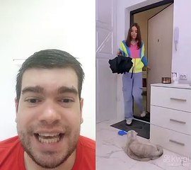 A vingança do gato kkk