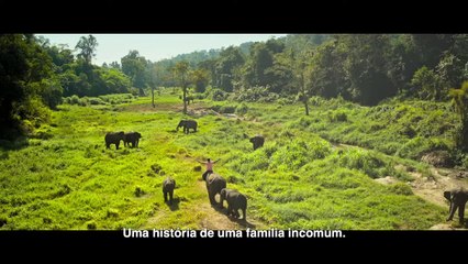 Junglee - Protegendo a Selva | movie | 2019 | Official Trailer