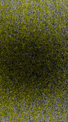 Écoute le bruit wesh