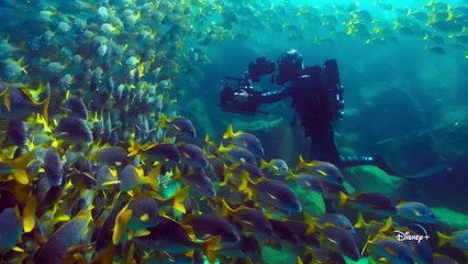 Animals Up Close with Bertie Gregory | show | 2023 | Official Trailer