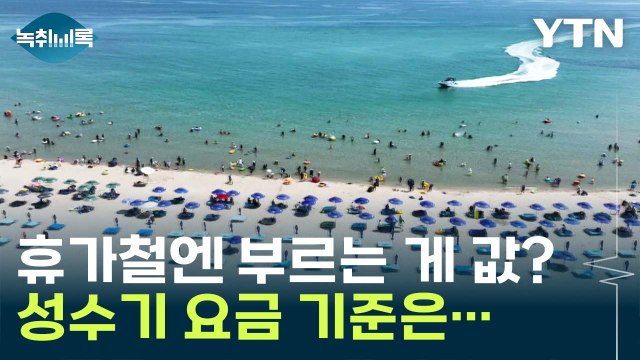 이 돈이면 해외 가요 ...바가지 요금 '삼진 아웃제' 의견도 [Y녹취록] / YTN
