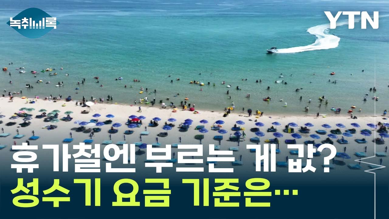 "이 돈이면 해외 가요"...바가지 요금 '삼진 아웃제' 의견도 [Y녹취록] / YTN