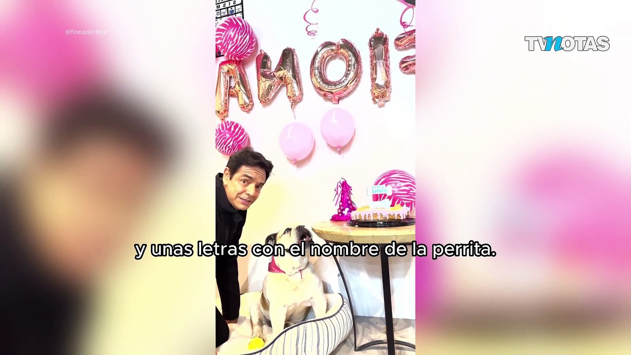 Gran amor a Fiona, perrita de Eugenio Derbez I TVNotas I Espectáculos