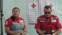 Cruzrojistas costas