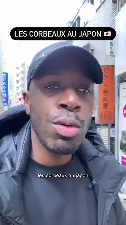 LES OISEAUX JAPONAIS sont COMPLETEMENT FOU