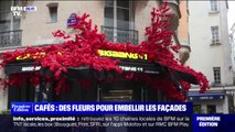 Des fleurs pour embellir les façades des cafés