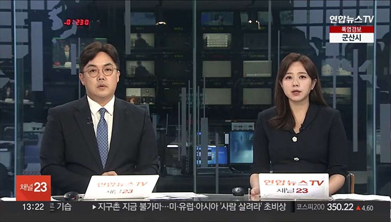 "오수 유입 추정"…청계천 물고기 폐사 정밀조사