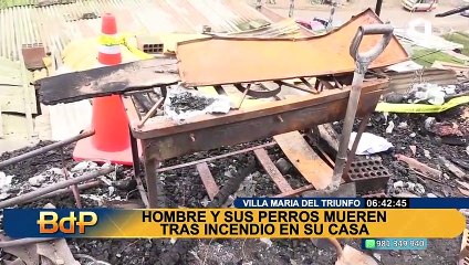 Tragedia en Fiestas Patrias: padre de familia y sus 4 perritos mueren calcinados en VMT