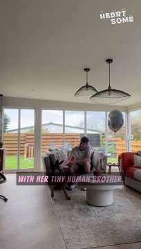 Uncontainable Joy: German Shepherd Meets Newborn Human Brother! II Heartsome