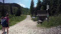 Zakopane - Tatry , dlaczego nie można wejśc z psem w Tatry