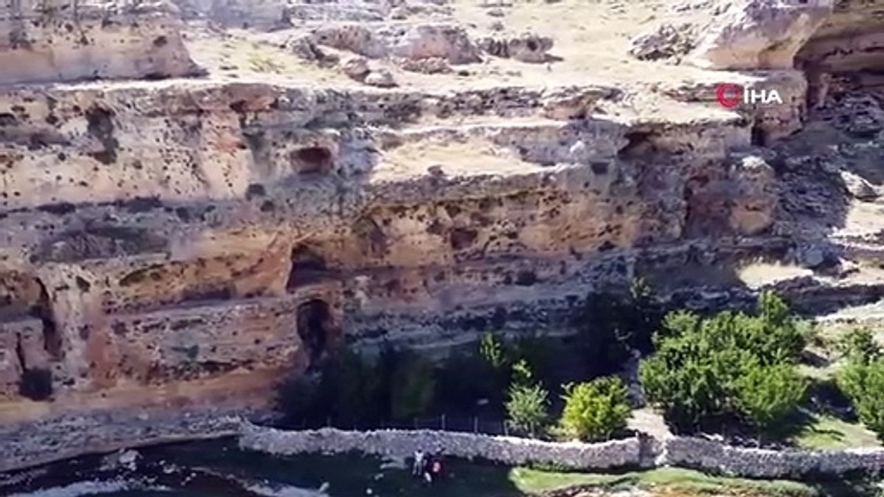 Image notable sur les roches vivantes： Roche ressemblant à un ours