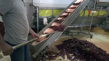 Depremin yıktığı İslahiye'de sanayinin çarkları tekrar dönmeye başladı