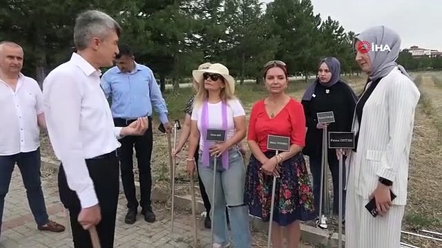 Des conférenciers bénévoles s'occupent du jardin de lavande