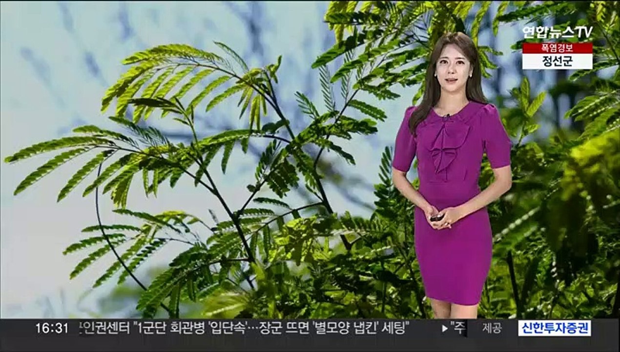 [날씨] 연일 폭염 기승, 밤사이 열대야…강한 소나기 주의
