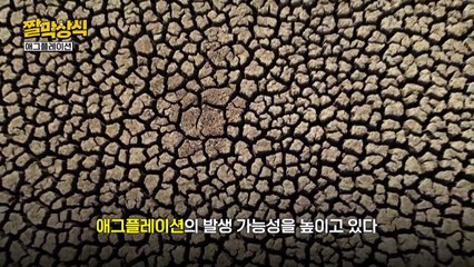 [짤막상식] 기후변화가 원인? '애그플레이션'이란 무엇일까? / YTN