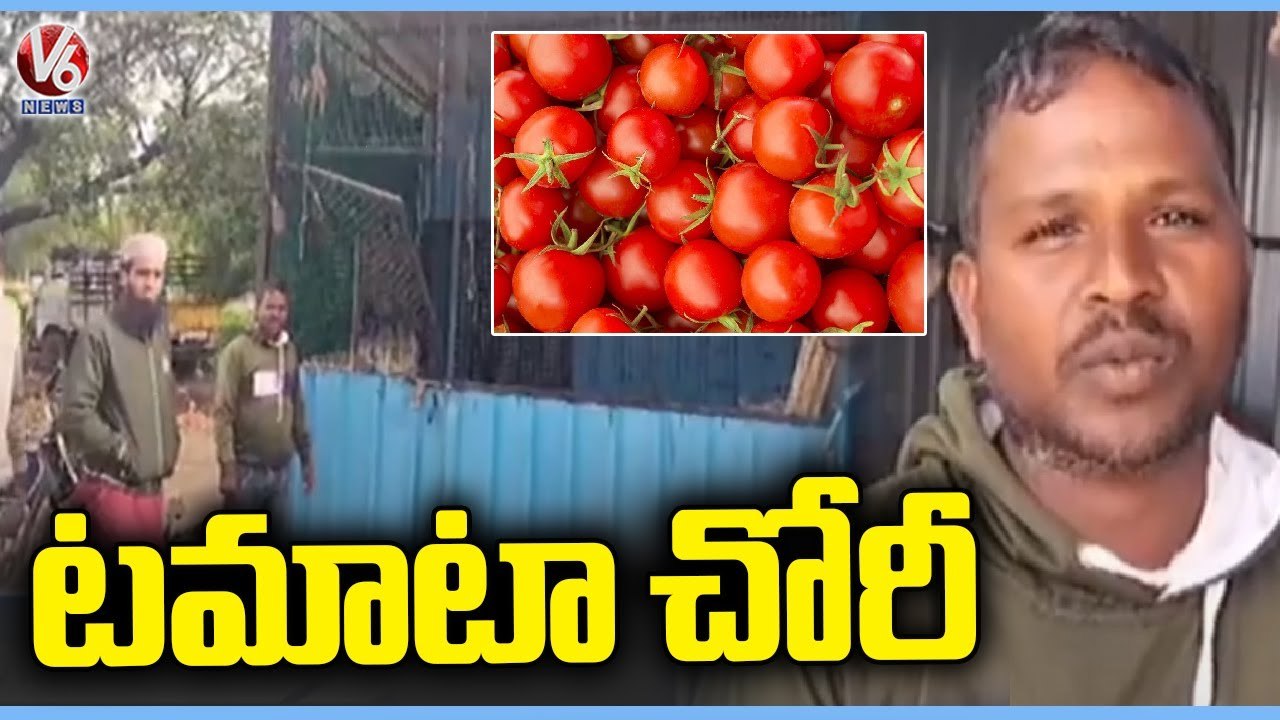 Tomato Worth 45k Robbery  At Sadashivapeta Market _ Sangareddy  _ V6 News
