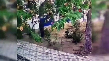 Tatil cennetinde yüzsüz hırsız kamerada