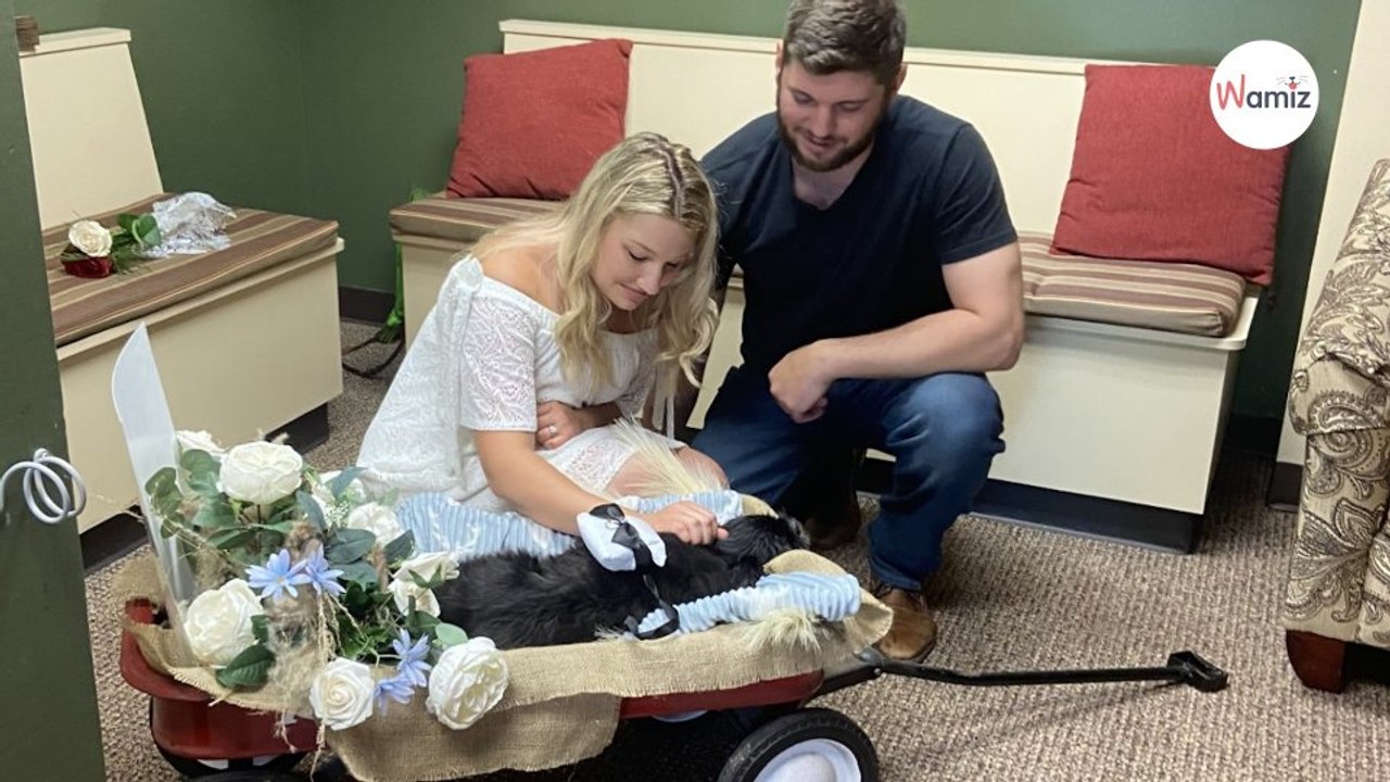 Ils organisent leur mariage chez le vétérinaire pour que leur chien âgé puisse y assister-index