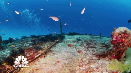 الكابلات البحرية.. عصب الثورة الرقمية